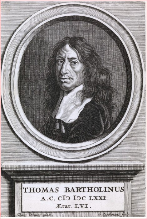 Retrat Thomas Bartholin