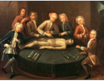 William Cheselden dissecció cadàver