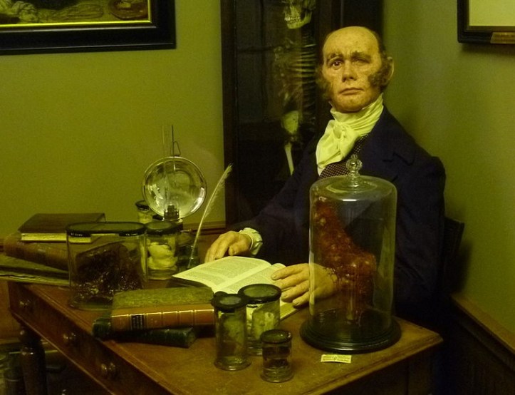 Dr. Robert Knox, Edinburgh's Surgeons' Hall Museum