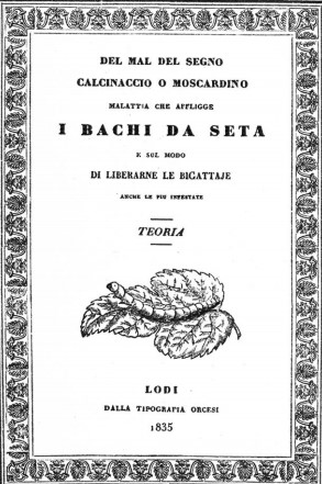 llibre de Bassi sobre malaltia dels cucs de seda