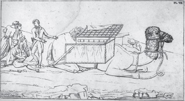 Dromedari – ambulància