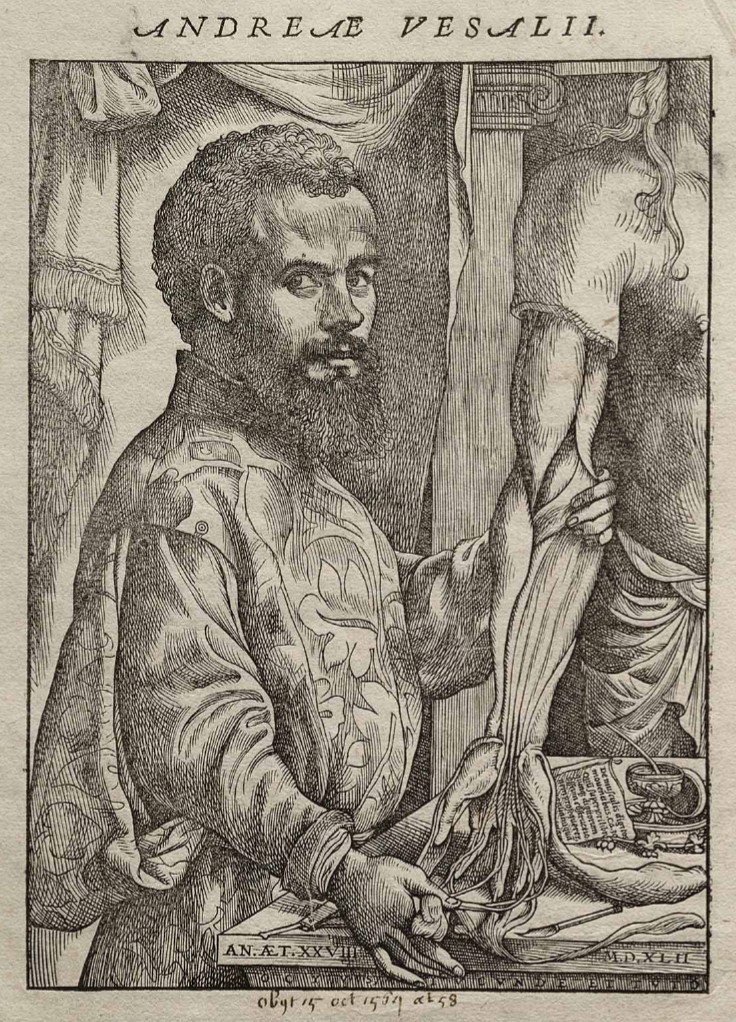 Retrat d'Andreas Vesalius procedent de la seva obra "De humani corpori fabrica".