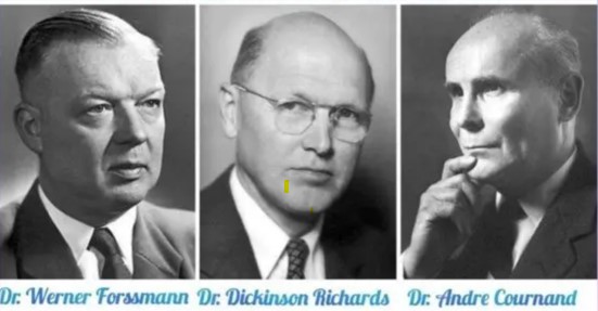 Els laureats amb el premi Nobel de medicina de 1956