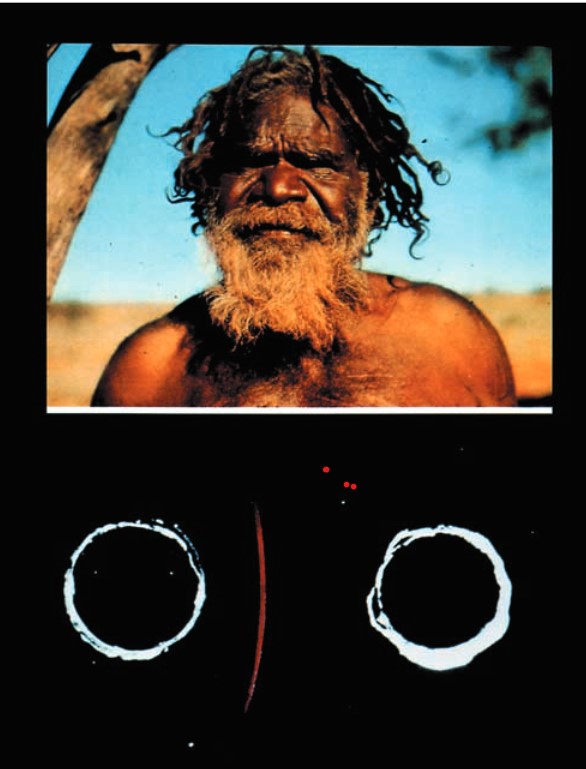 A dalt, retrat d'un indígena maorí i a sota la línia vermella que va permetre trobar l'antigen Austràlia