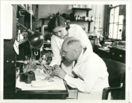 La Dra. Kelsey al laboratori amb el Dr. Geiling investigant morts relacionades amb l'elixir Sulfanilamida. c.1937