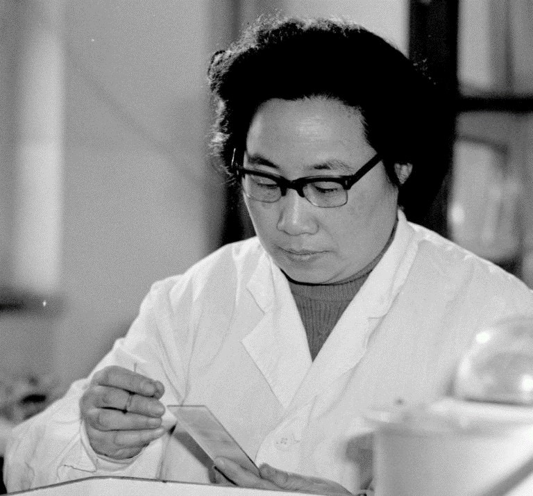 Tu Youyou treballant al laboratori