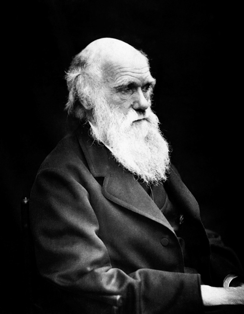 Charles Darwin de gran