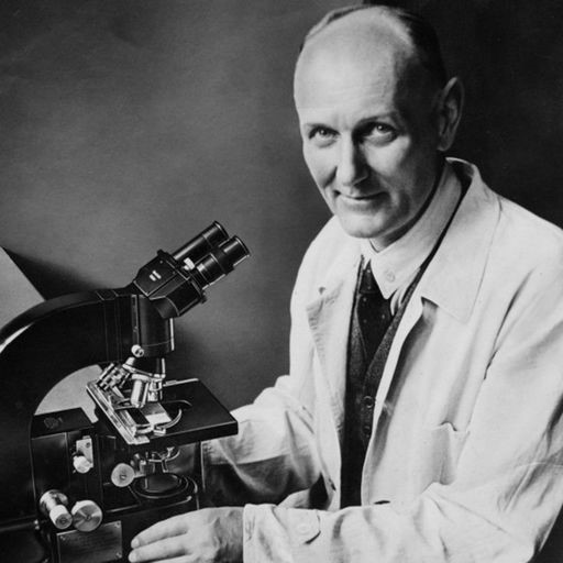 Domagk en el seu laboratori