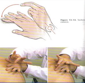 Percussió toràcica