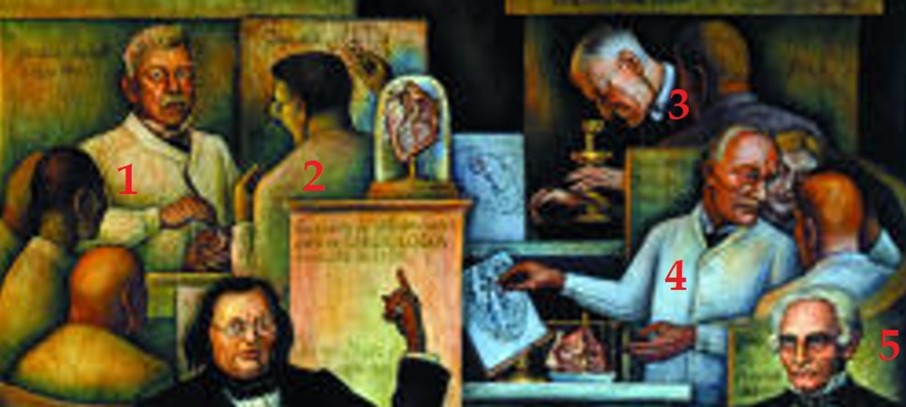 A la part superior del mural, veiem a l'esquerra Aschoff (1) i Tawara (2), al microscopi Arthur Keith (3), Purkinje (4) comentant una imatge del cor, i Wilhem Hiss (5), de qui només veiem el cap