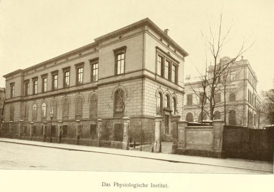 Institut de Fisiologia de Leipzig