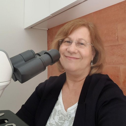 Professora Teresa Ribalta