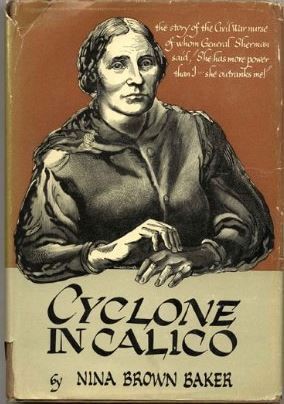 Biografia de Mary Ann Bickerdyke