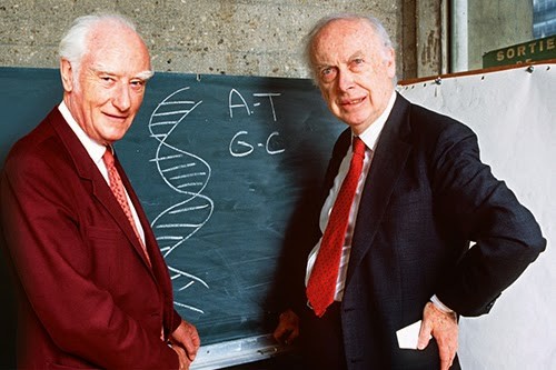 Crick i Watson, molts anys després d'haver rebut el premi Nobel