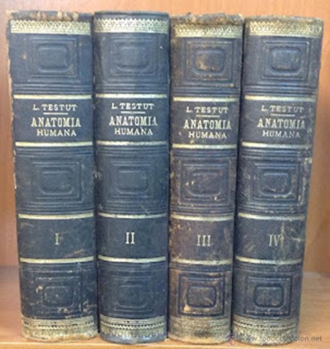 Els quatre volums de la versió espanyola del Tractat d'Anatomia Humana