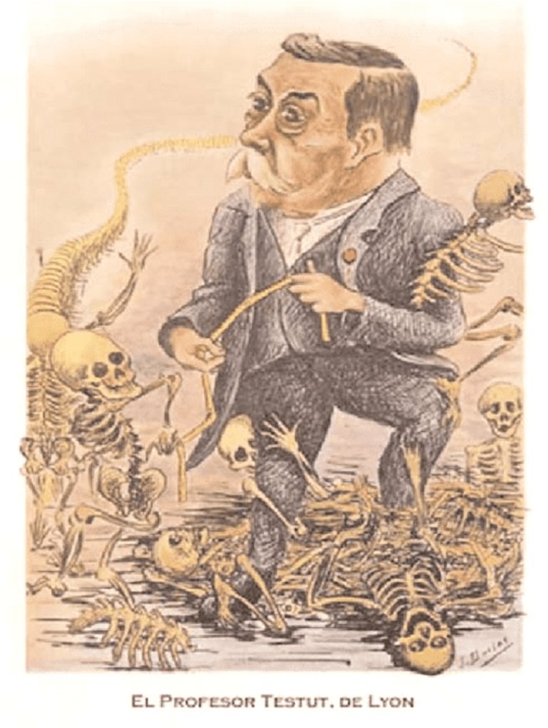 Caricatura del professor Testut