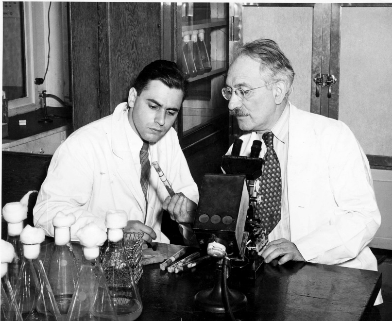 Els Drs. Waksman (dreta) i Schatz (esquerra)