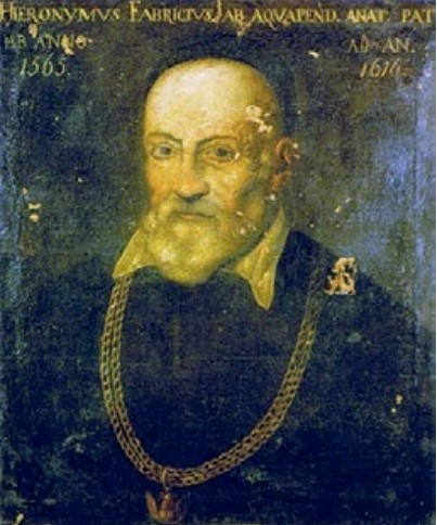 Hyeronimus Fabricius d'Acquapendente