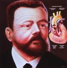 Arthur Fallot, professor a la Facultat de Medicina de Marsella