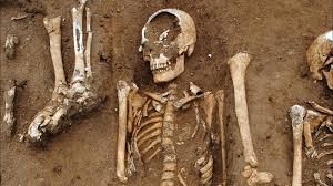 Restes humanes d'una epidèmia de pesta del segle XIV de l'Àsia central on han trobat ADN del Yersinia pestis
