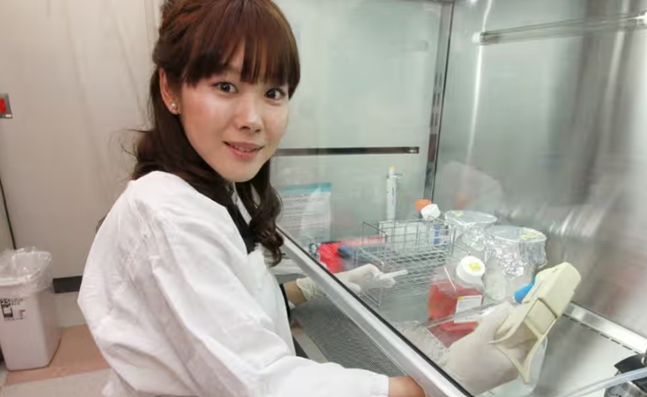 La Dra. Obokata en el laboratori