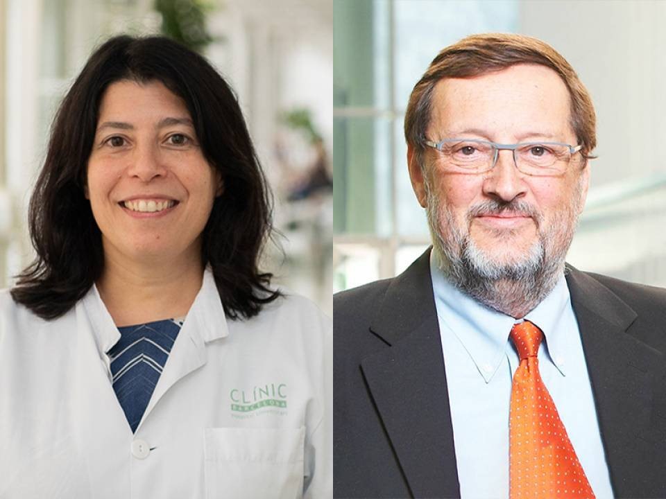 Maria Reig substitueix Jordi Bruix en la direcció del grup d'Oncologia hepàtica del Clínic