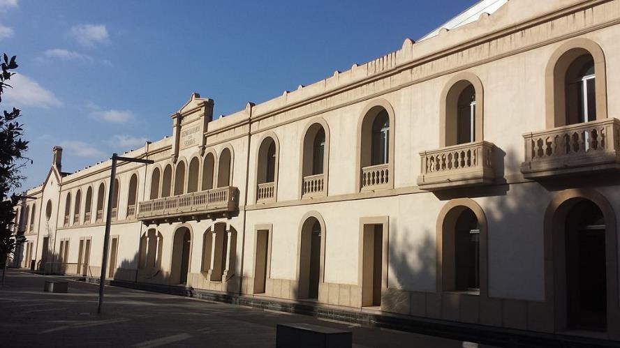 Institut Frenopàtic