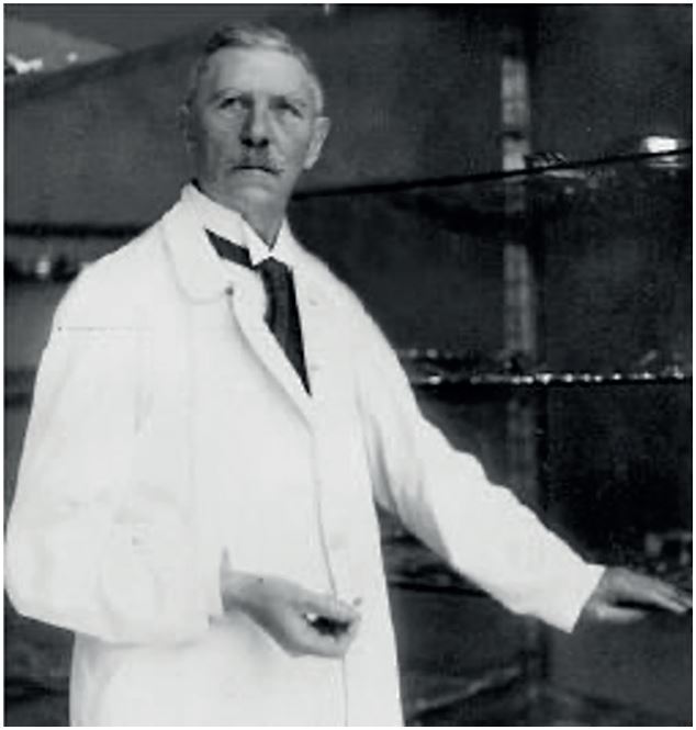 Ludwig Rehn (1849 – 1930), el primer que va fer una cardiorràfia