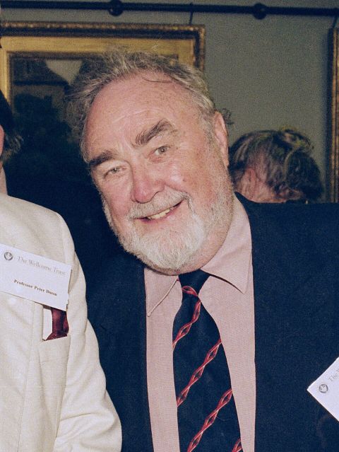 Professor Geoffrey Chamberlain