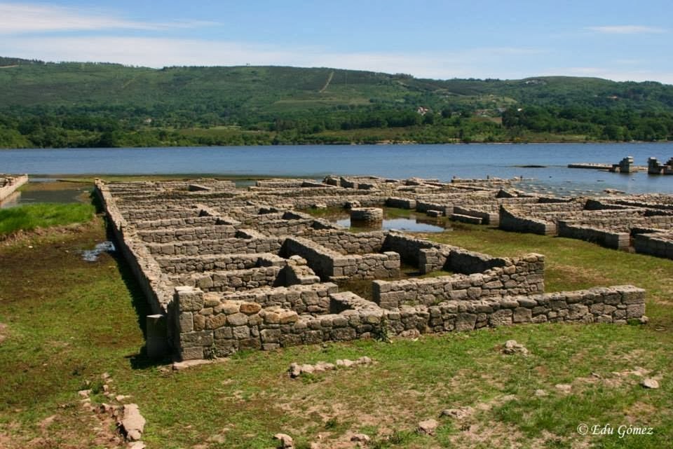 Valetudinària d'Aquis querqueris, vora el riu Limia a la província d'Orense