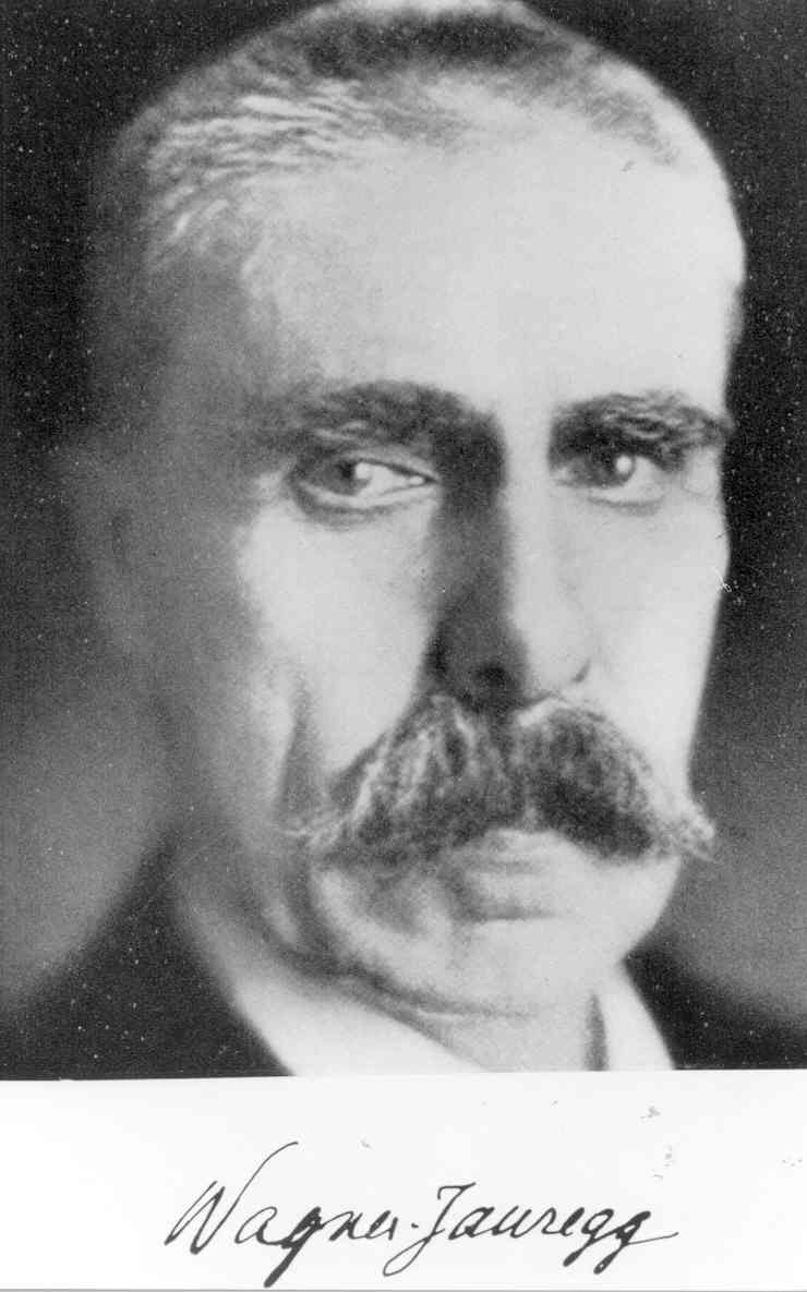 Julius Wagner-Jauregg rebé el premi Nobel de medicina el 1927 per introduir la piretoteràpia en el tractament de la paràlisi general progressiva